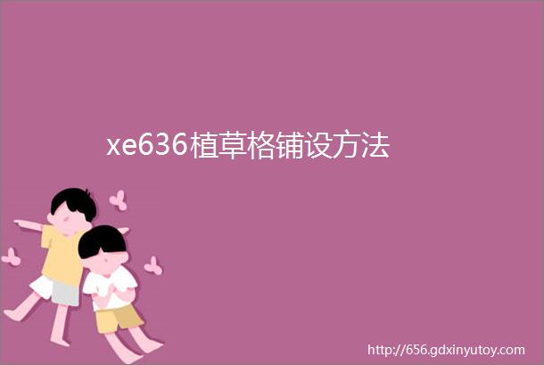 xe636植草格铺设方法