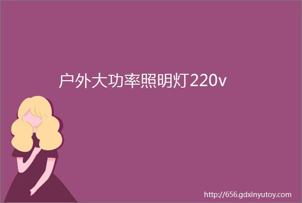 户外大功率照明灯220v