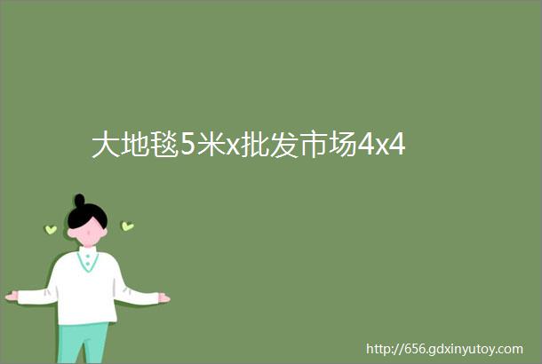 大地毯5米x批发市场4x4