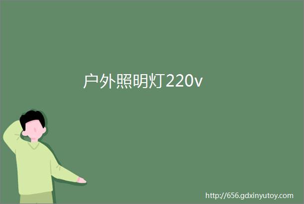 户外照明灯220v